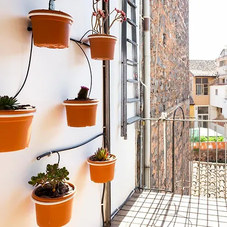 Charm And Style In Centre Daire