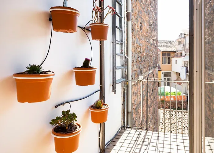 Charm And Style In Centre Apartment